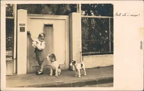  Glückwunsch - Geburtstag - Kind mit Blumenstrauß und Hunden 1930