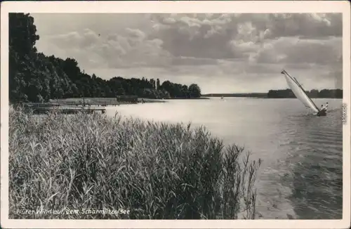 Ansichtskarte Pieskow-Bad Saarow Scharmützelsee, Segelboot 1955