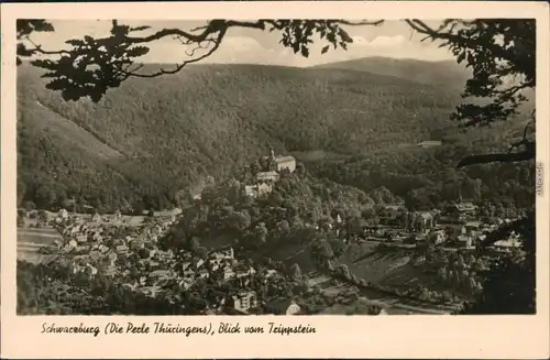 Ansichtskarte Ansichtskarte Schwarzburg Panorama-Ansicht 1955