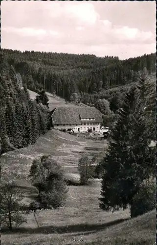 Ansichtskarte Grafenhausen Hotel - Pension Schluchtmühle 1960