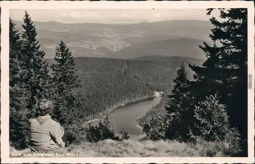 Ansichtskarte Bayerisch Eisenstein Arbersee 1954