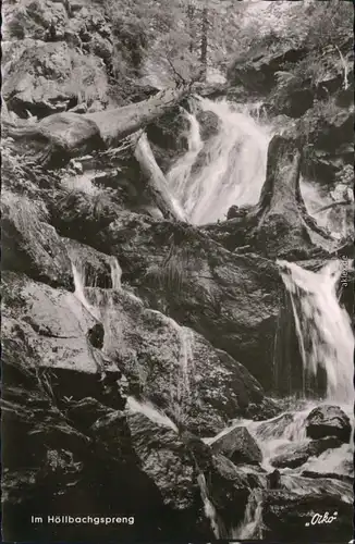 Ansichtskarte Zwiesel Höllenbachspreng (Großer Falkenstein) 1961