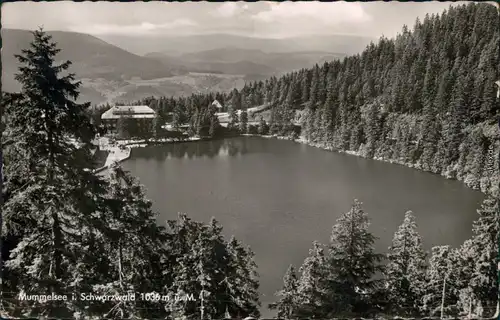 Ansichtskarte Seebach Mummelsee 1954