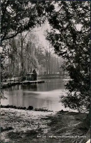 Ansichtskarte Bad Orb Weiher und Entenhaus im Kurpark 1958