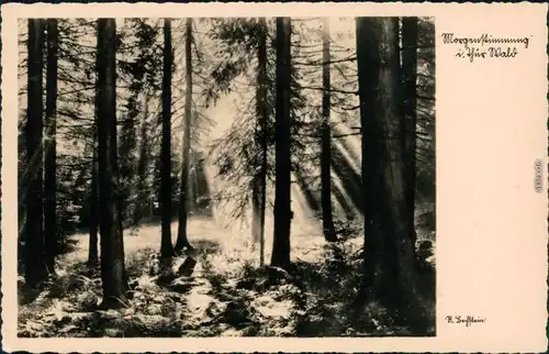 Ansichtskarte  Morgenstimmung im Thüringer-Wald 1957