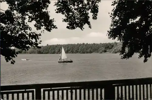 Ansichtskarte Zechlinerhütte-Rheinsberg Schlabornsee mit Segelboot 1966