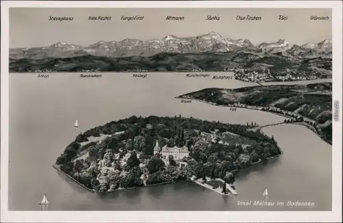 Ansichtskarte Konstanz Luftbild von der Insel Mainau 1965