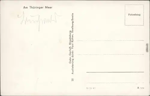 Ansichtskarte Saalfeld (Saale) Am Thüringer Meer - Hohenwartestausee 1954