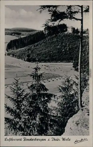 Ansichtskarte Finsterbergen-Friedrichroda Finsterberg mit Kuhherde im Tal 1953
