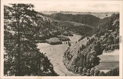 Ansichtskarte Frauenwald Panorama-Ansicht 1966