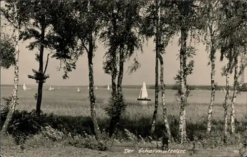 Ansichtskarte Wendisch Rietz Scharmützelsee mit Segelbooten 1963