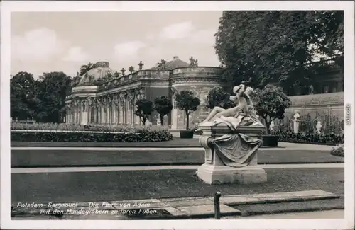 Potsdam Sanssouci - Die Flora von Adam mit den Hundegräbern zu ihren Füßen 1954