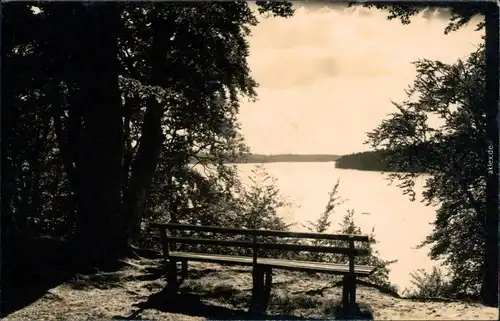 Neuglobsow-Stechlin Blick vom Fenchelberg zum Dagowsee / Stechlinsee 1963