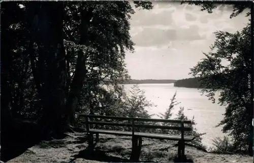 Neuglobsow-Stechlin Blick vom Fenchelberg zum Dagowsee/Stechlinsee g1962