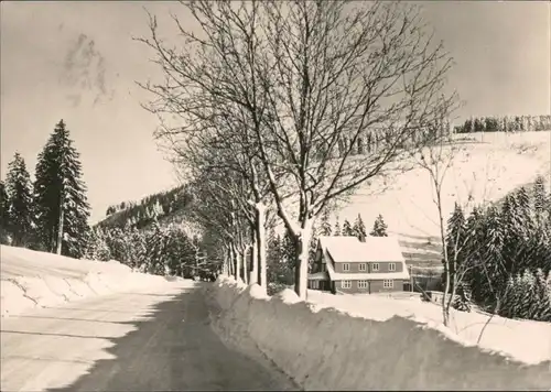 Ansichtskarte Oberhof (Thüringen) Am Kanzlersgrund - Winterlandschaft 1967