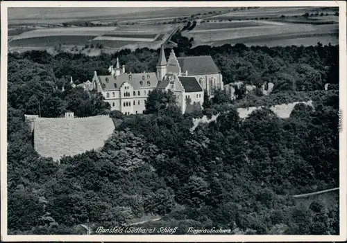 Ansichtskarte Mansfeld Luftbild - Schloß 1934 