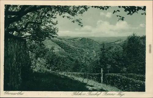 Ansichtskarte Oberwartha-Dresden Blick auf den Bischof Benno Weg 1928 