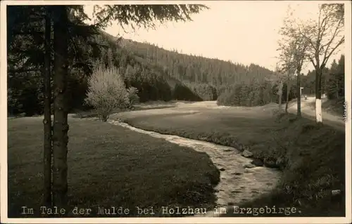 Ansichtskarte Holzhau-Rechenberg-Bienenmühle Im Tale der Mule - Straße 1937 