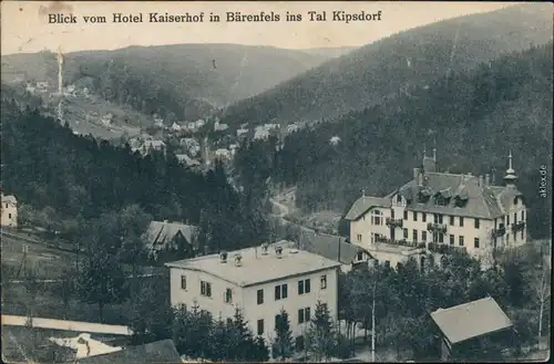 Bärenfels-Altenberg (Erzgebirge) Blick vom Hotel Kaiserhof 1923 