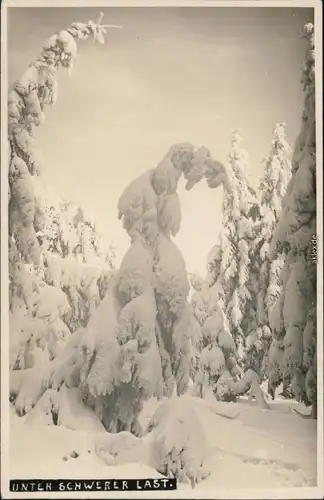 Schmiedeberg (Erzgebirge)-Dippoldiswalde Unter schwerer Last - Winter 1930 