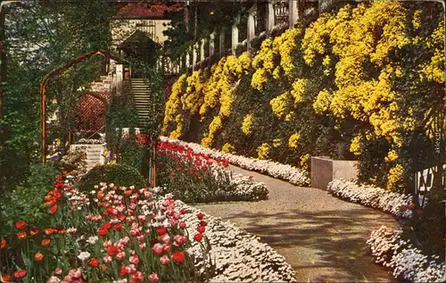 Ansichtskarte Loschwitz-Dresden Frühlingsblumen - Eckberg 1928 