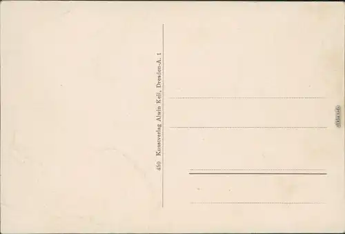 Pfaffendorf-Königstein (Sächsische Schweiz) Häuser -  Pfaffenstein 1916