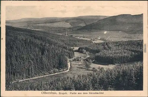 Ansichtskarte Olbernhau Partie aus dem Bärenbachtal 1932 