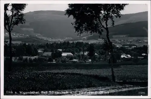Bad Schwarzbach Bad Flinsberg  Świeradów-Zdrój Panorama-Ansicht 1936