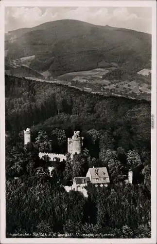 Ansichtskarte Auerbach (Bergstraße) Auerbacher Schloss 193