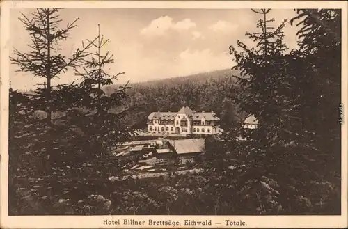 Eichwald (Erzgebirge) Dubí Hotel Billiner Brettsäge b Teplitz Teplice 1929