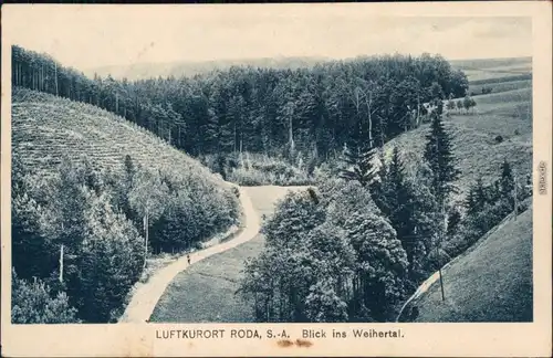 Ansichtskarte Stadtroda Blick ins Weihertal 1921 