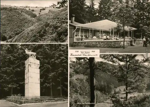 Frauenwald Hirschmonument, Café Lenkgrund Blick ins Tränkbachtal 1970