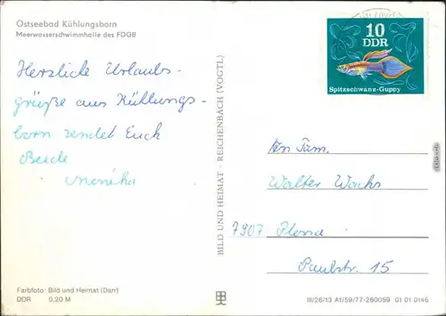 Ansichtskarte Kühlungsborn Mehrwasserschwimmhalle des FDGB 1977