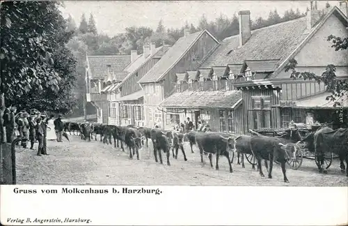 Ansichtskarte Bad Harzburg Vietrieb - Molkenhaus 1906 