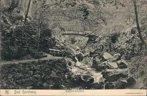 Ansichtskarte Bad Harzburg Brücke - Riefenbachfälle 1906 