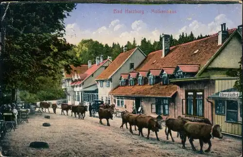 Ansichtskarte Bad Harzburg Kühe am Molkenhaus 1918 