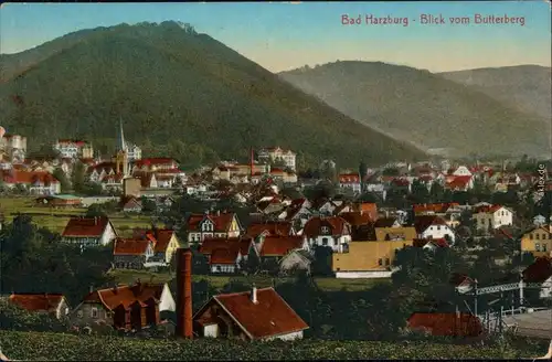 Ansichtskarte Bad Harzburg Stadt vom Butterberg 1918 