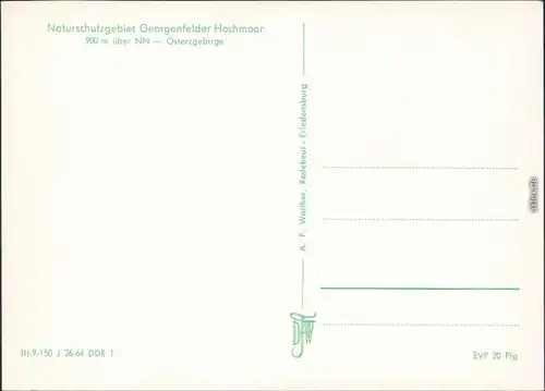 Zinnwald-Georgenfeld-Altenberg (Erzgebirge) Georgenfelder Hochmoor 1964