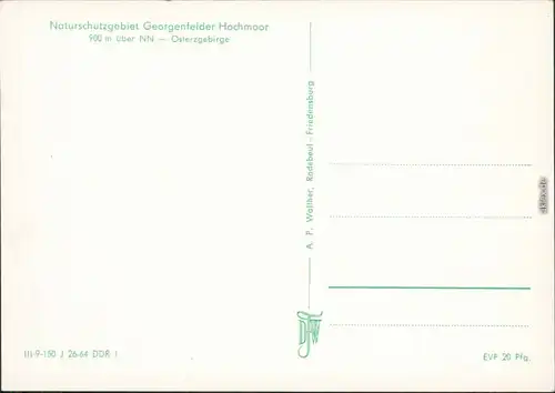 Zinnwald-Georgenfeld-Altenberg (Erzgebirge) Georgenfelder Hochmoor  2 1964