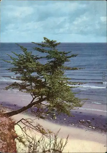 Ansichtskarte Bansin-Heringsdorf Usedom Steilküste und Strand 1969