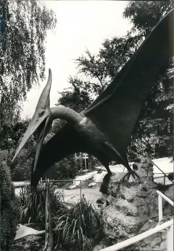 Ansichtskarte Kleinwelka Mały Wjelkow Saurierpark - Pteranodon 1985 