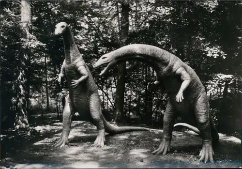 Ansichtskarte Kleinwelka Mały Wjelkow Saurierpark - Plateosaurus 1985 