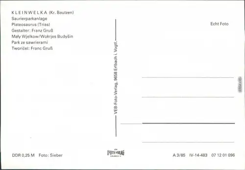 Ansichtskarte Kleinwelka Mały Wjelkow Saurierpark - Plateosaurus 1985 