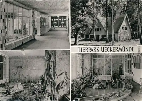 Ansichtskarte Uckermünde-Berlin Tierpark - Innen- und Außenansicht 1979