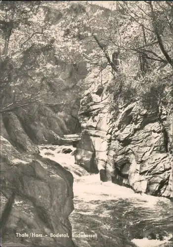 Ansichtskarte Thale (Harz) Bodekessel (Bodetal) 1963