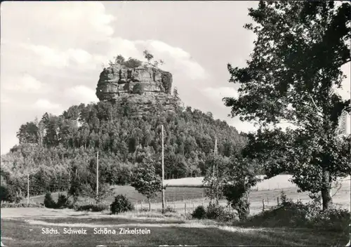 Ansichtskarte Schöna-Reinhardtsdorf-Schöna Partie am Zirkelstein 1981 