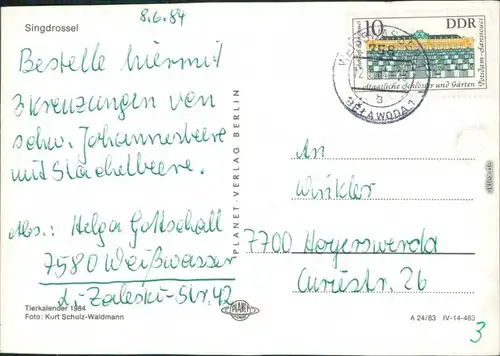 Ansichtskarte  Singdrossel 1984