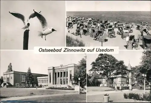 Zinnowitz Möwen, Strand Strandkörben, Kulturhaus IG Wismut, Bergmannsheim 1977