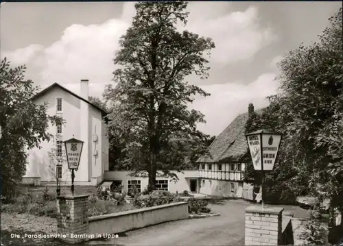 Ansichtskarte Barntrup (Lippe) Paradiesmühle 1965