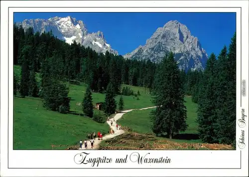 Ansichtskarte Grainau Waxenstein (Wettersteingebirge) 1998